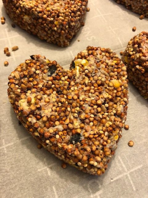 Homemade bird feeders